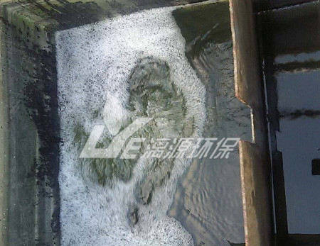 涂料化工廢水處理的生物法有哪些？