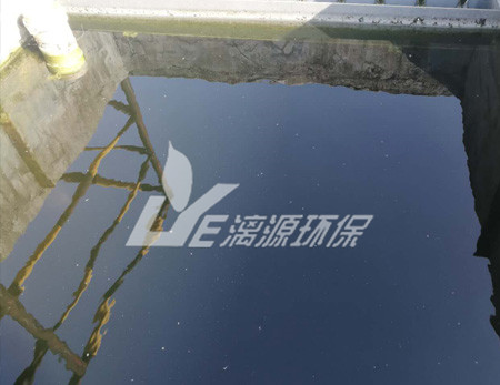 化工污水處理的污泥脫水技術有哪些？