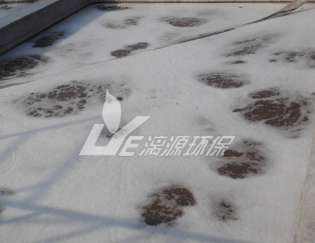 工業(yè)污水處理現(xiàn)代的處理技術(shù)有哪些？