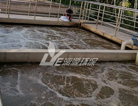 己內(nèi)酰胺廢水處理技術